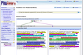 Graphic chart and assignment of the text parts of the plagiarism assessment