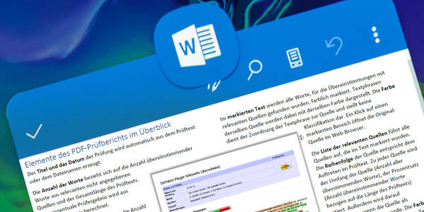 Word-Dokument Interpretation der Plagiatsprüfung